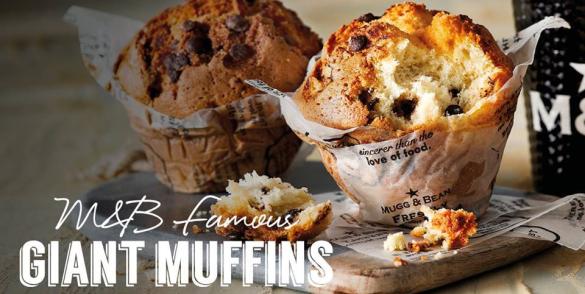 muffins
